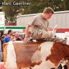 Bullenreiten_006